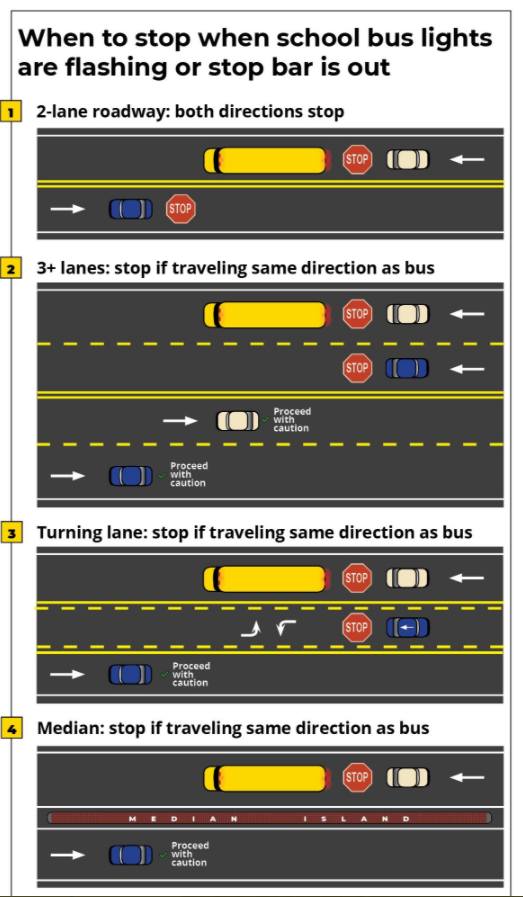 When to stop for school buses graphic- full graphic in linked df