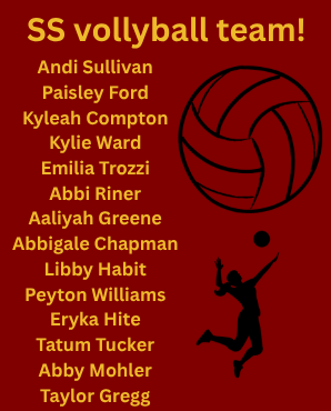 25 Volleyball Roster