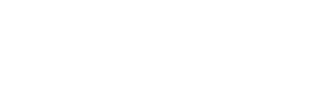 bogcs white logo