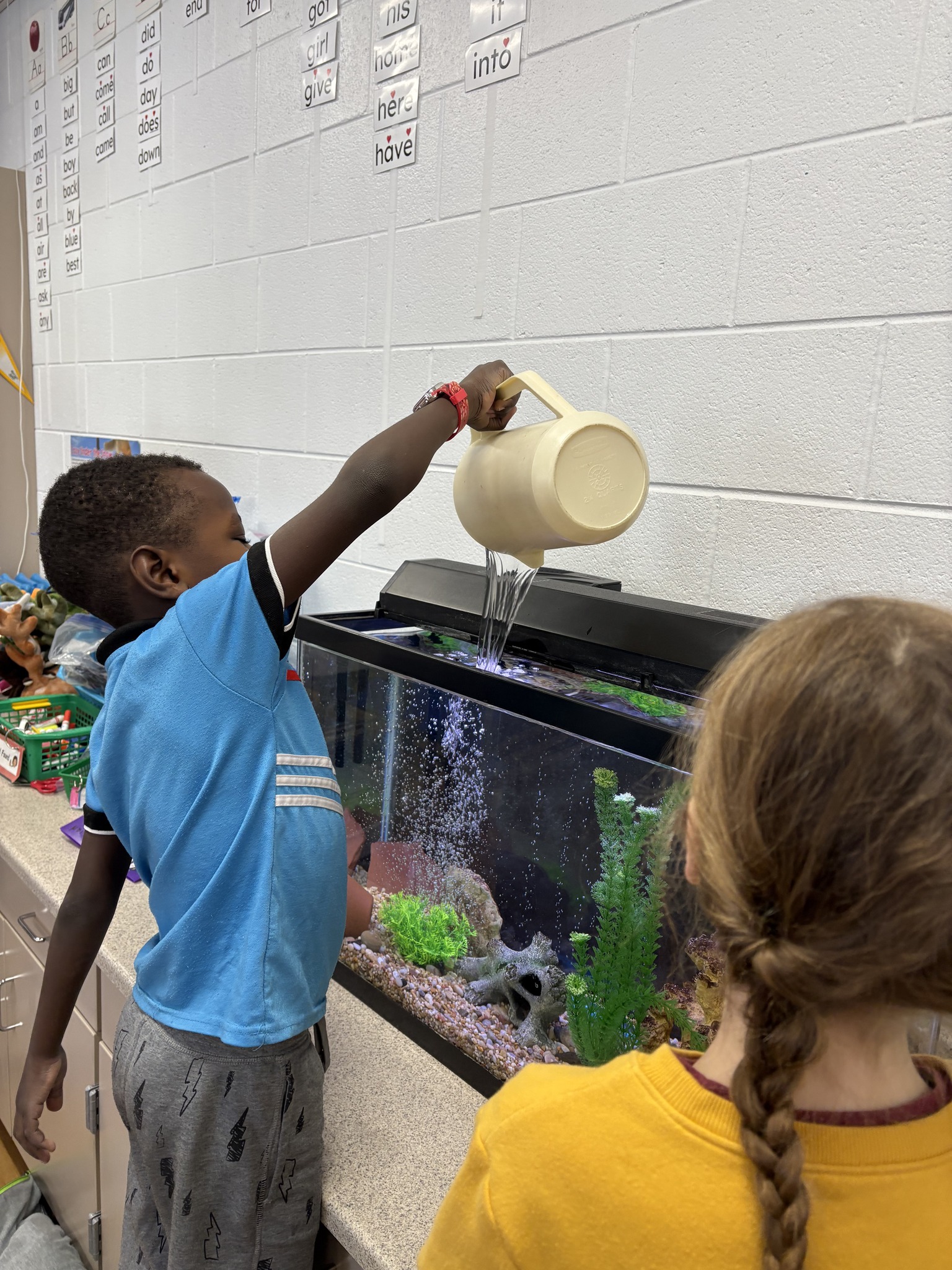 Bass in the Class Program
