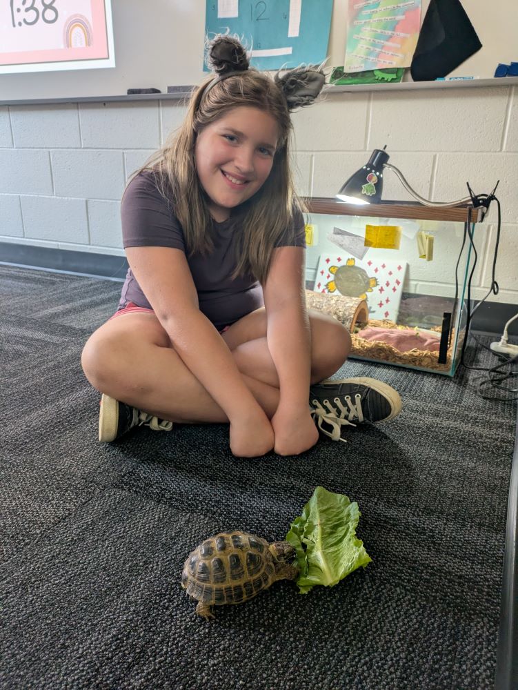 Kaydence feeds Bolt his daily lettuce