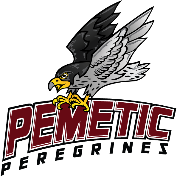 Pemetic Elementary School