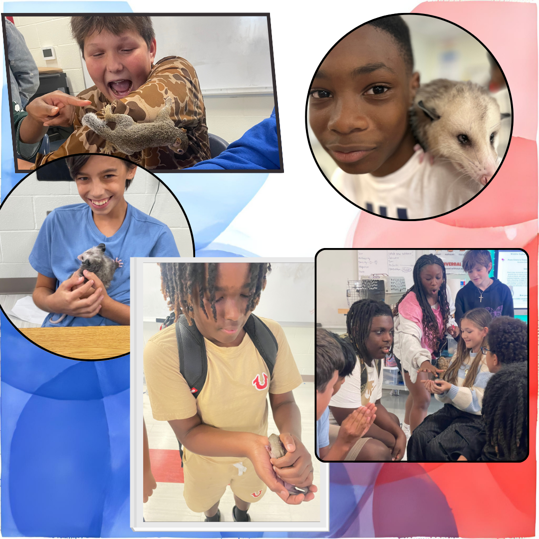 students holding animals