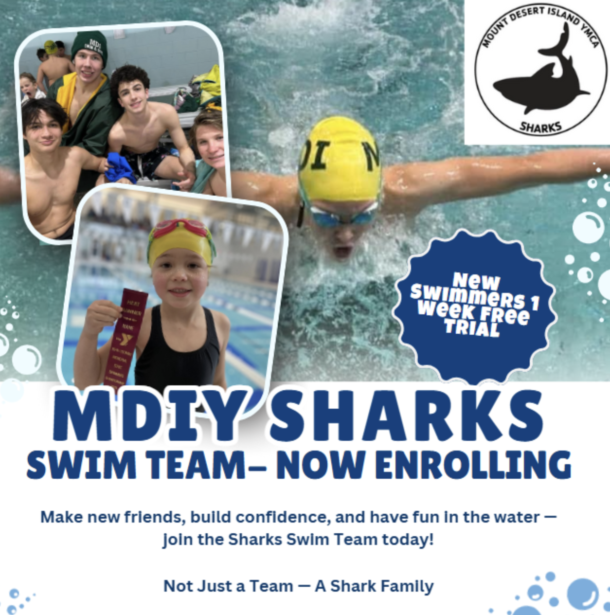 MDES Newsletter