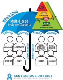 MTSS Implementation