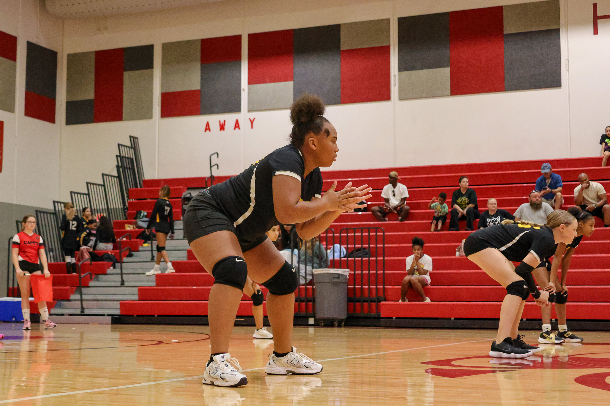 Volleyball