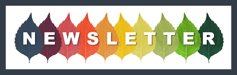 newsletter image