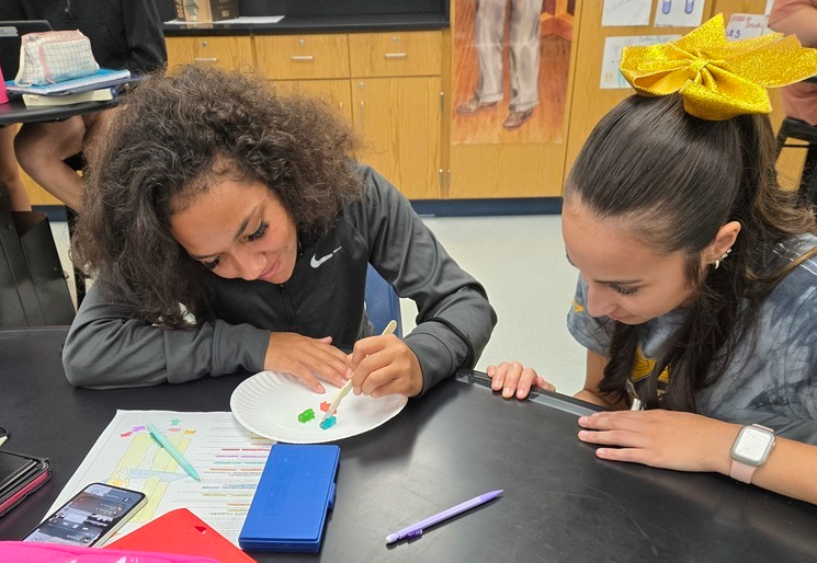 Dissection practice in anatomy 