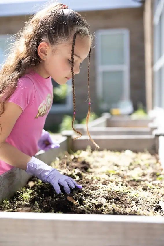 garden clean up