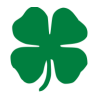 shamrock for March 2025 newsletter