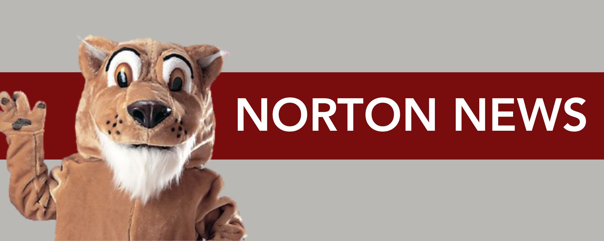 Newletter Header