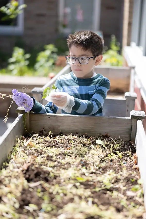 garden clean up