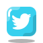 Twitter (X)