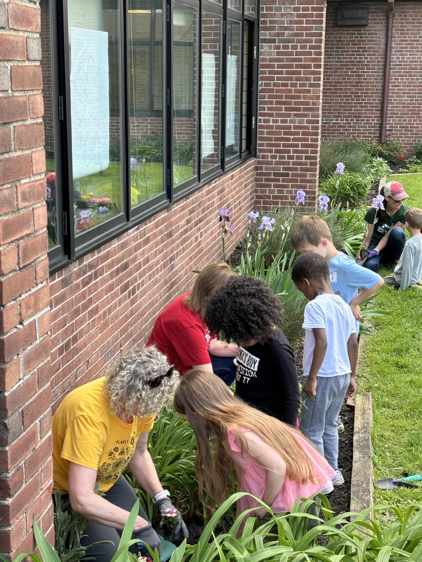 Students gardening