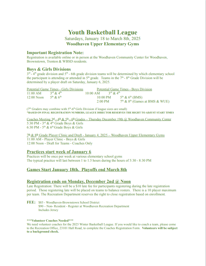 Youth Basketball flyer