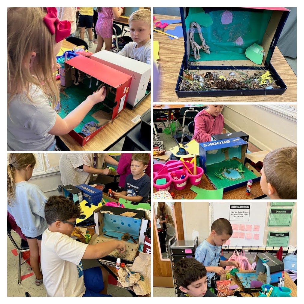 2 Habitat Projects 2