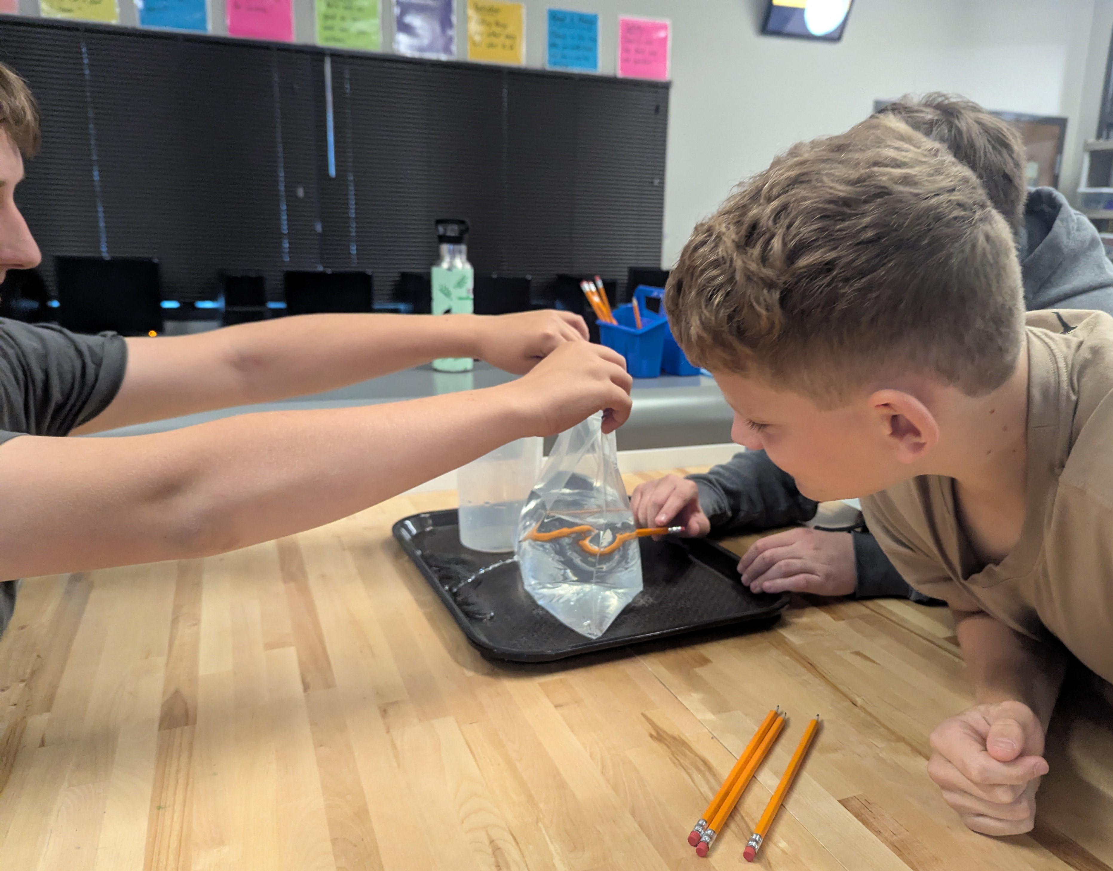 MS Newsletter - September 2025