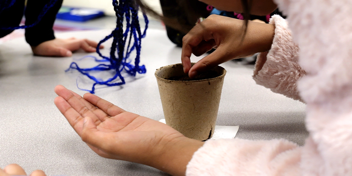 Photo of hands planting seeds in a pot.