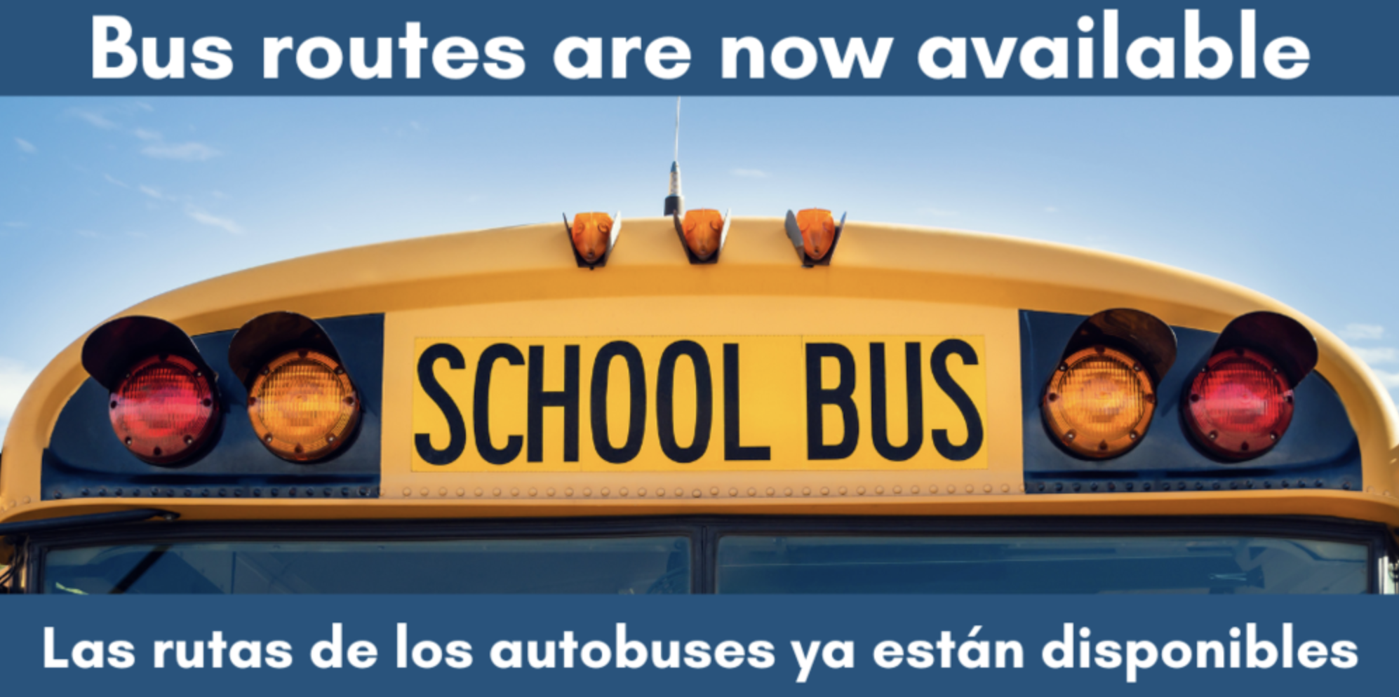 Bus routes are now available