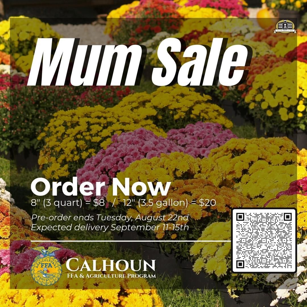 mum