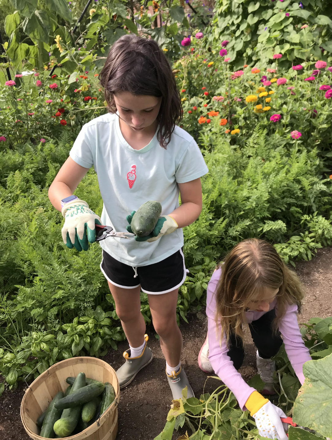mdesnewsletter