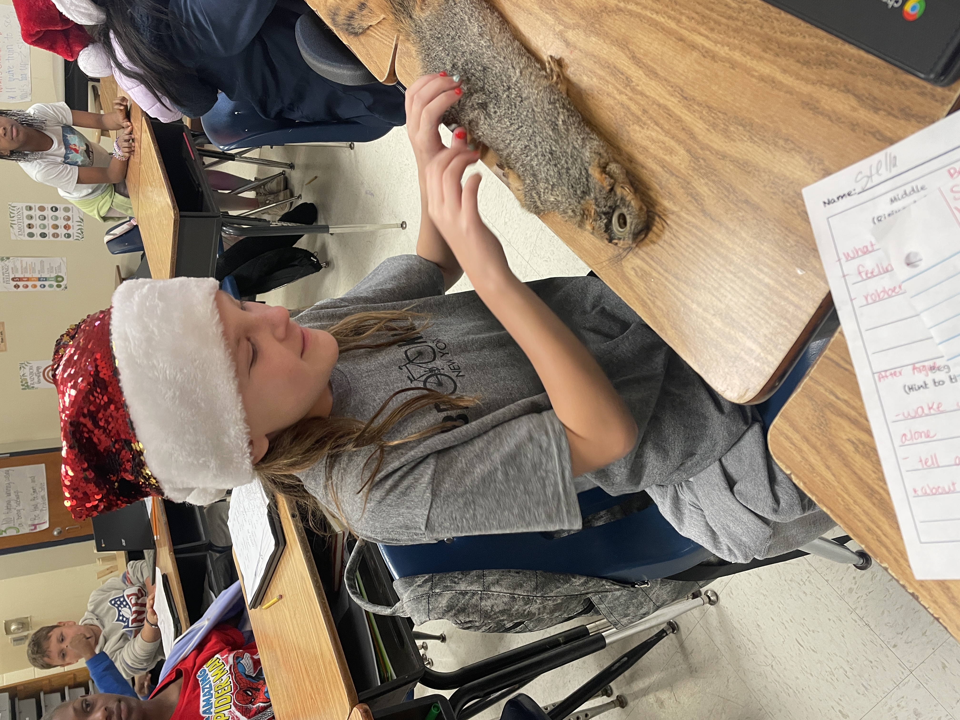 Students exploring furs