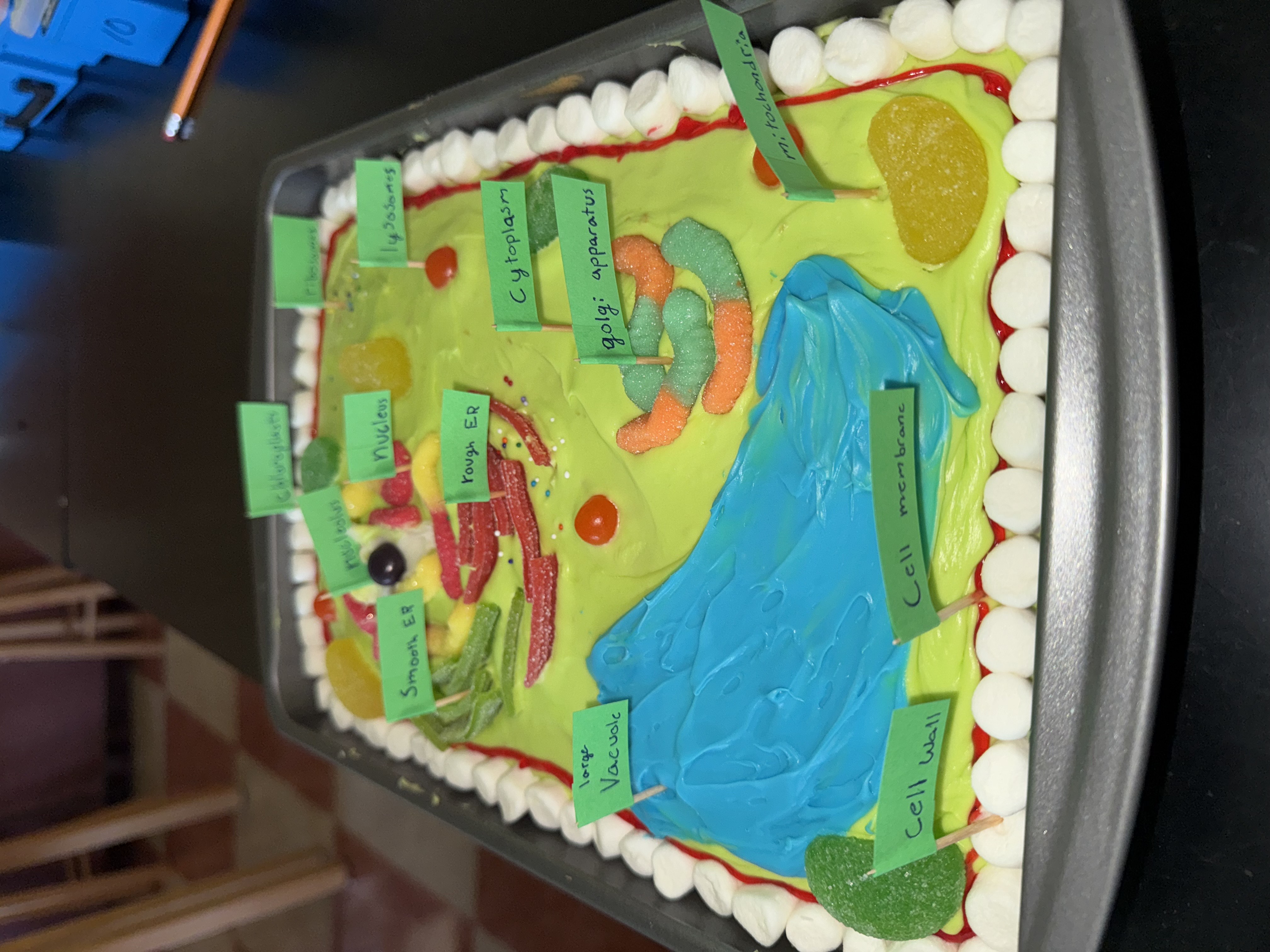 Miss S. Cook - Science