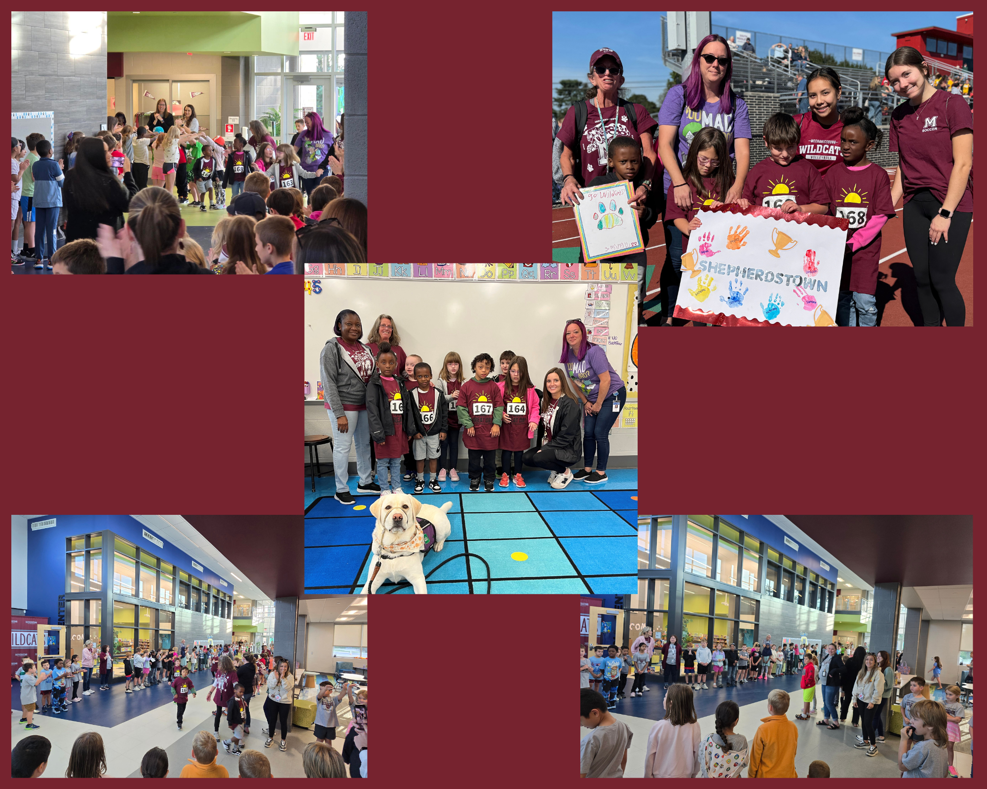 Special Olympics Photos