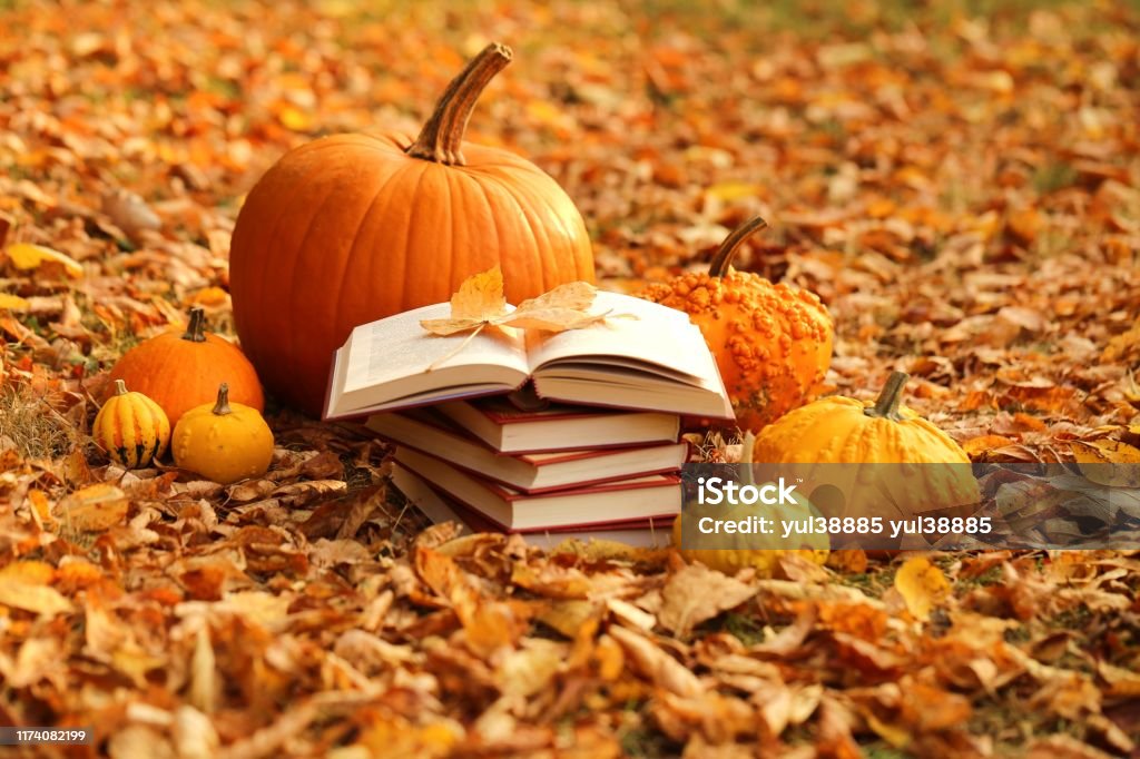 Pumpkin with books
