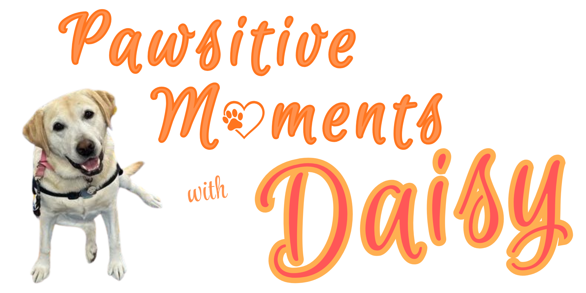 Pawsitive Moments with Daisy