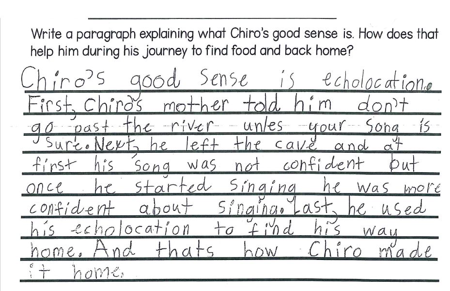 2nd Grade Writing Sample