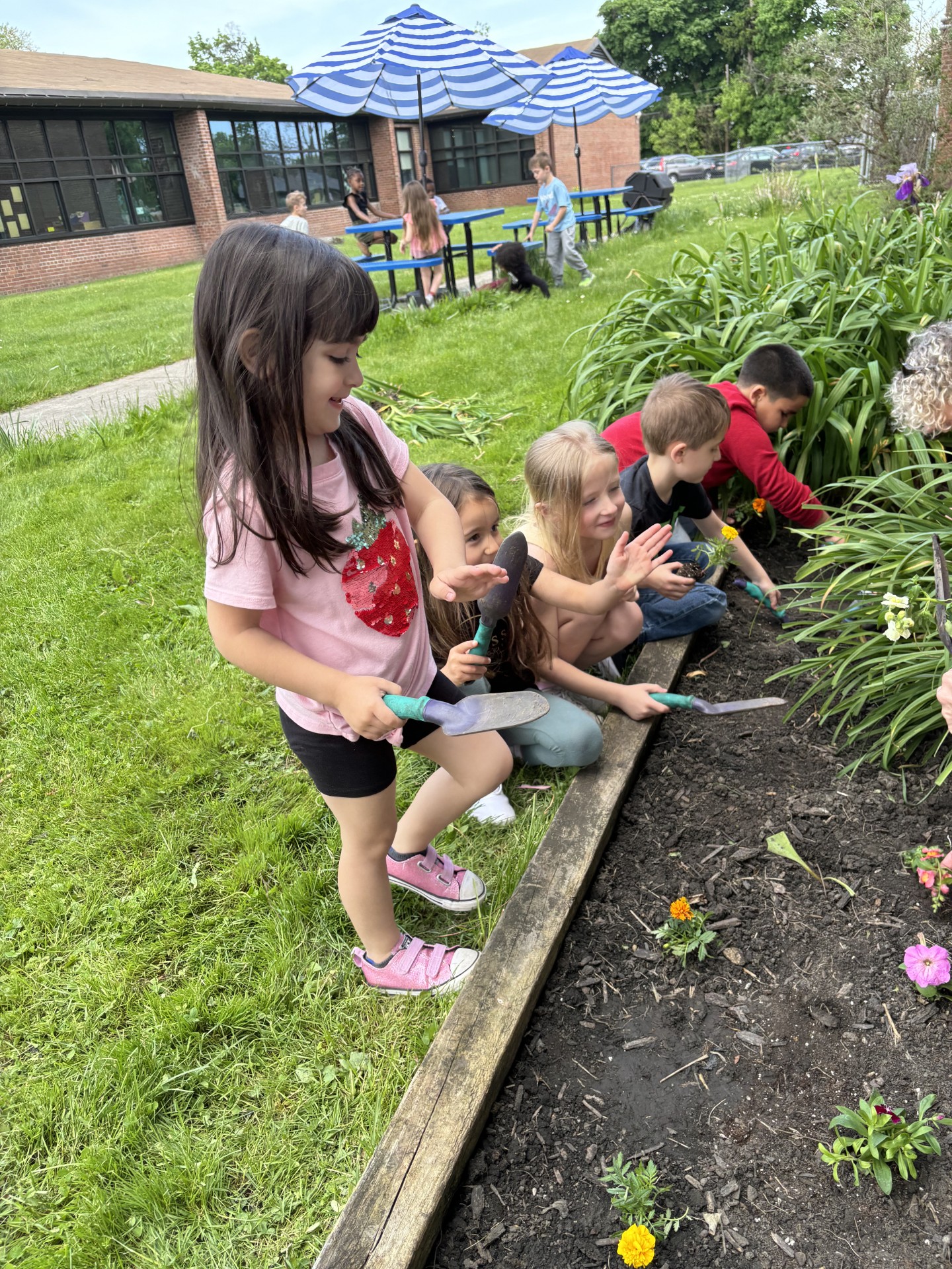 Students gardening